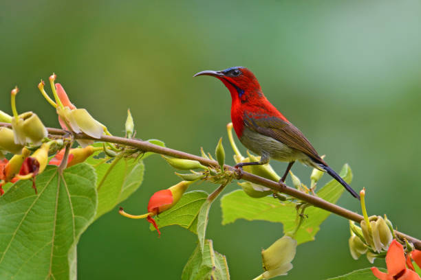 Queen Elizabeth National Park